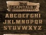 Wardance Family Font
