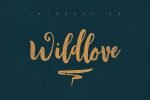 Wildlove Script Font