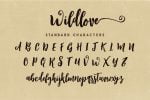 Wildlove Script Font