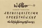 Wildlove Script Font