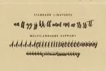 Wildlove Script Font