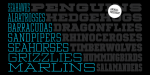 Winner Font